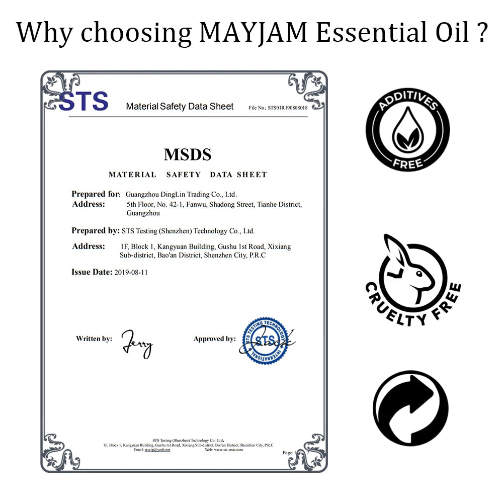 20pcs Natural Essential Oils Gift Set – Lavender, Eucalyptus, Mint & More