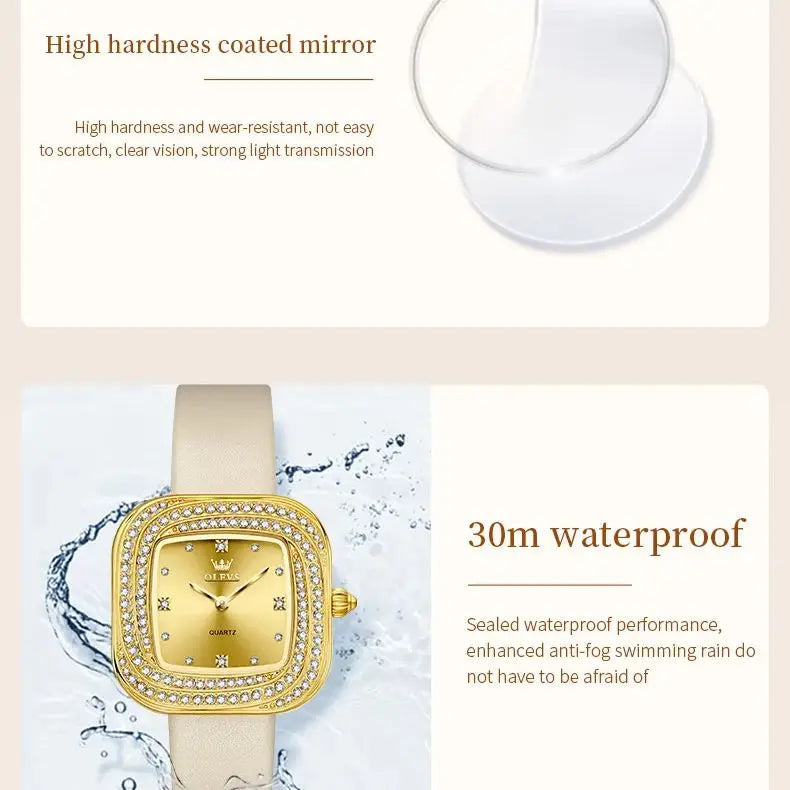 Charlotte Diamond Square Watch From Olevs
